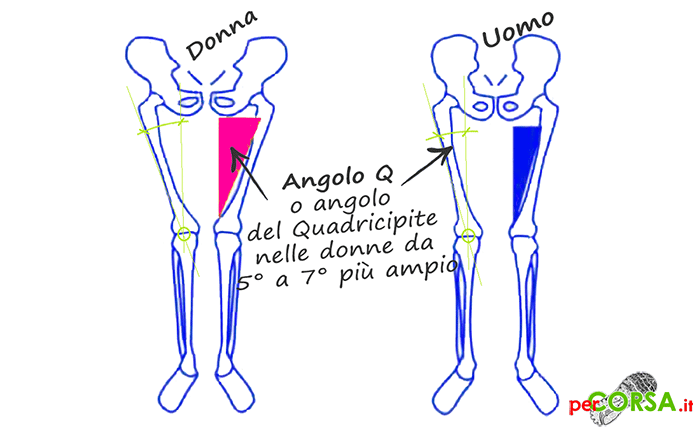 differenze angolo q quatricipide differenze angolo q quatricipide